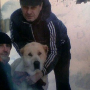 Владимир , 61 год