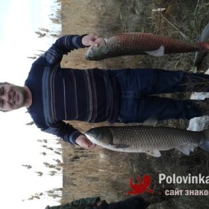 Дмитрий , 44 года