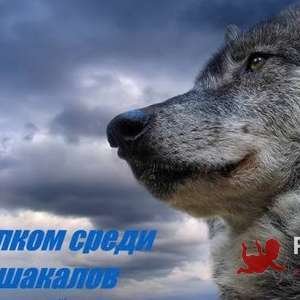 Сергей , 34 года