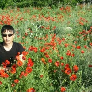 Бакыт , 38 лет