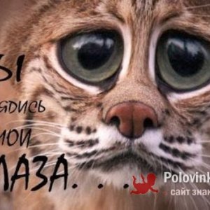 Никита , 25 лет