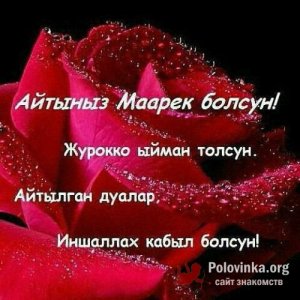 Аля , 42 года