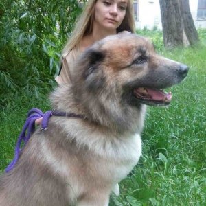 Женя , 41 год