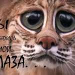 Никита, 25 лет
