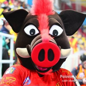 Юра , 26 лет