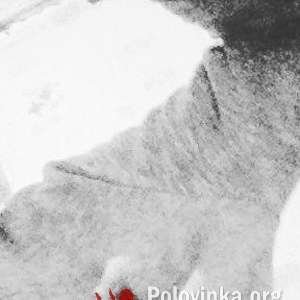 Сява , 27 лет