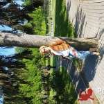Ирина, 54 года