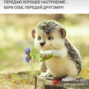 Ирина , 44 года