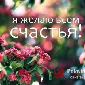 Klavchik , 36 лет