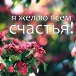 Klavchik, 36 лет