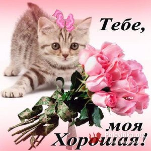 Алик , 62 года