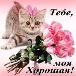 Алик, 62 года