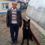 Андреи, 54 года