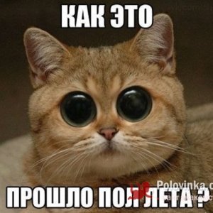 Александр , 37 лет
