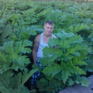 Алексей , 42 года