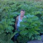 Алексей, 42 года