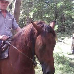 Владимир K, 71 год