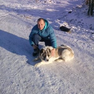 андрей сорокин, 38 лет