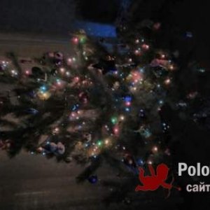 Elena , 43 года