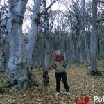 Андрей, 52 года