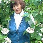 Галина, 71 год