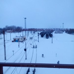 Терехов , 33 года