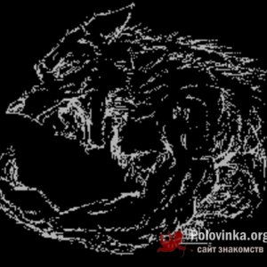 Заир Мамедов, 33 года