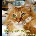 Игорь, 55 лет