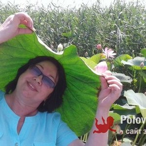 Лариса , 63 года