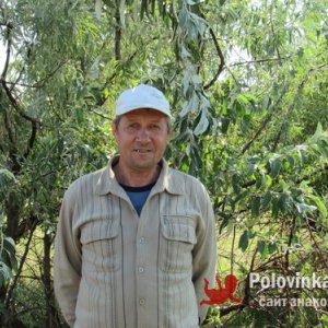 Анатолий королев, 66 лет