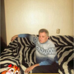 Анатолий Гнатенко, 66 лет